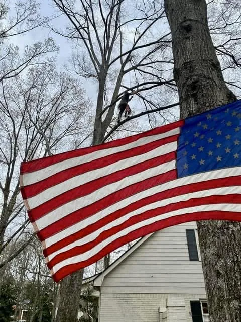 Durham's crew member climbing high in a bare tree beside a large American flag