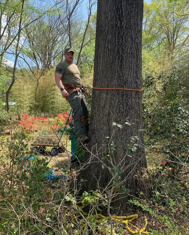 Jason Durham in climbing gear secured beside a mature tree