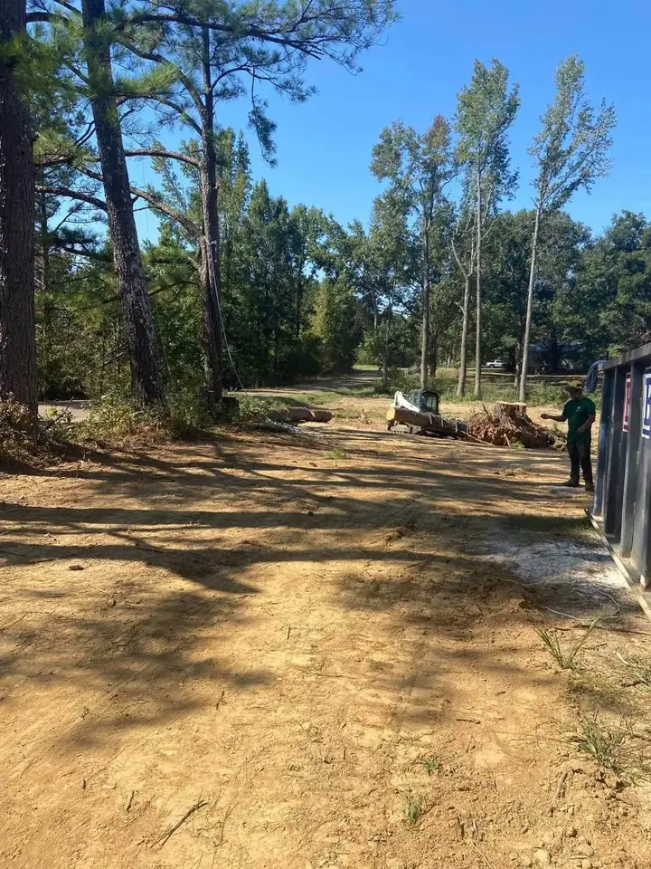 Crew clearing a lot with a skid steer and haul-off container