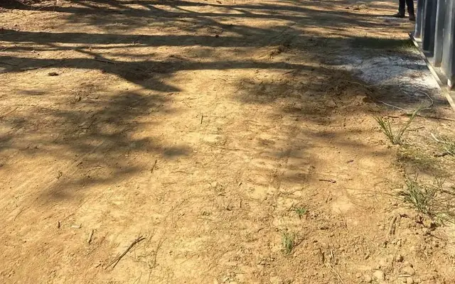 A cleared lot with a skid steer and haul-off container