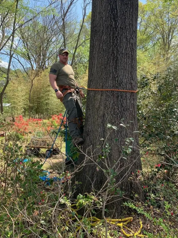 Jason Durham rigged in at the base of a large hardwood