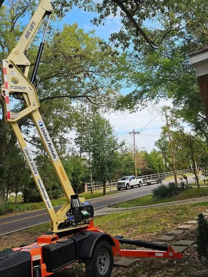 Towable JLG boom lift reaching into a large tree