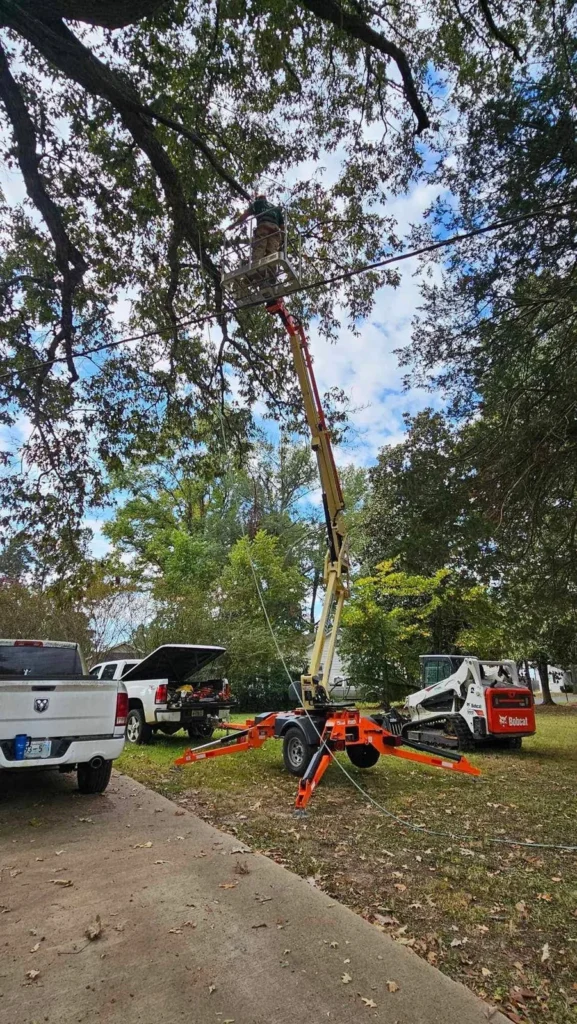 Towable boom lift and Bobcat staged beneath a mature tree during canopy work