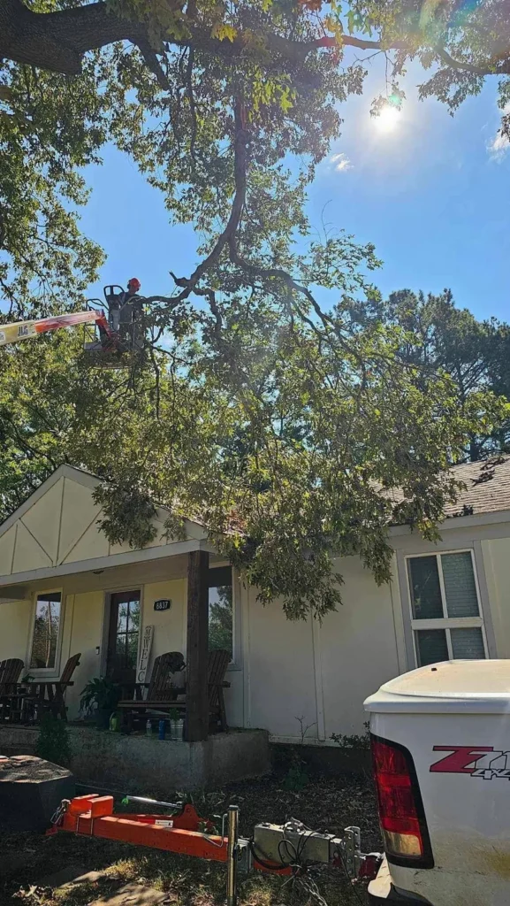 Crew member handling a limb from a boom lift above a West Tennessee home
