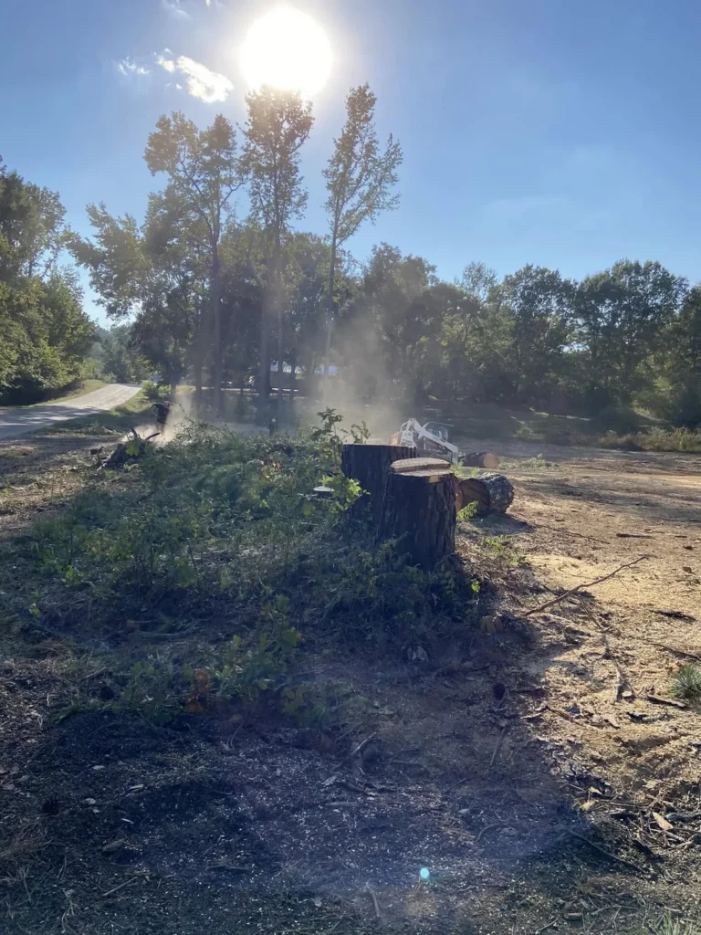 Bobcat working among cut stumps during lot clearing on October 5, 2023