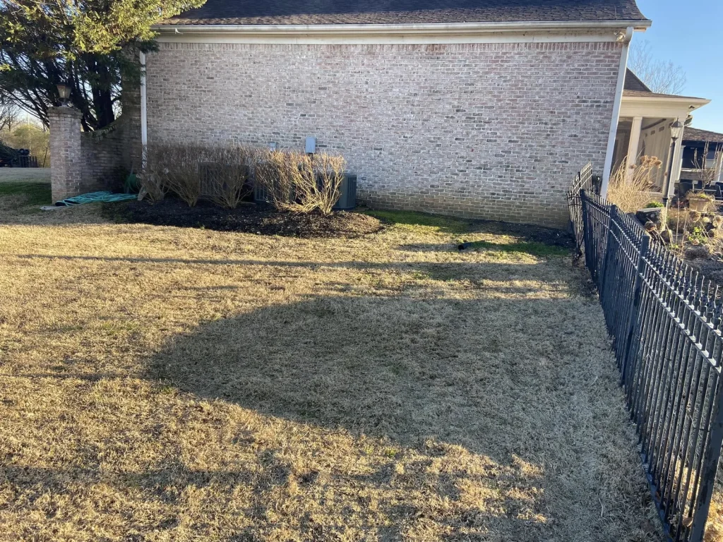 After storm cleanup