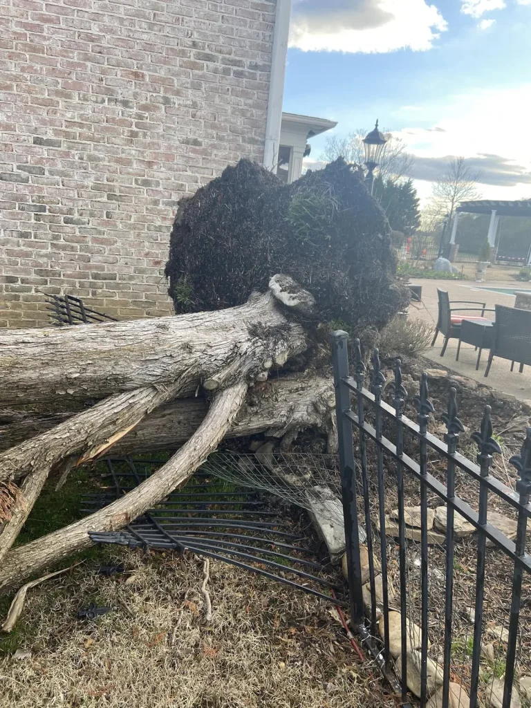 Before storm cleanup